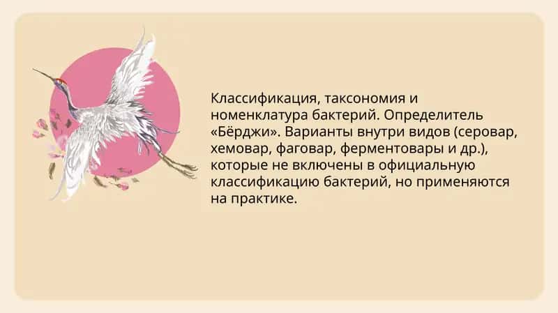 Классификация, таксономия и номенклатура бактерий. Определитель «Бёрджи». Варианты внутри видов (серовар, хемовар, фаговар, ферментовары и др.), которые не включены в официальную классификацию бактерий, но применяются на практике. 1