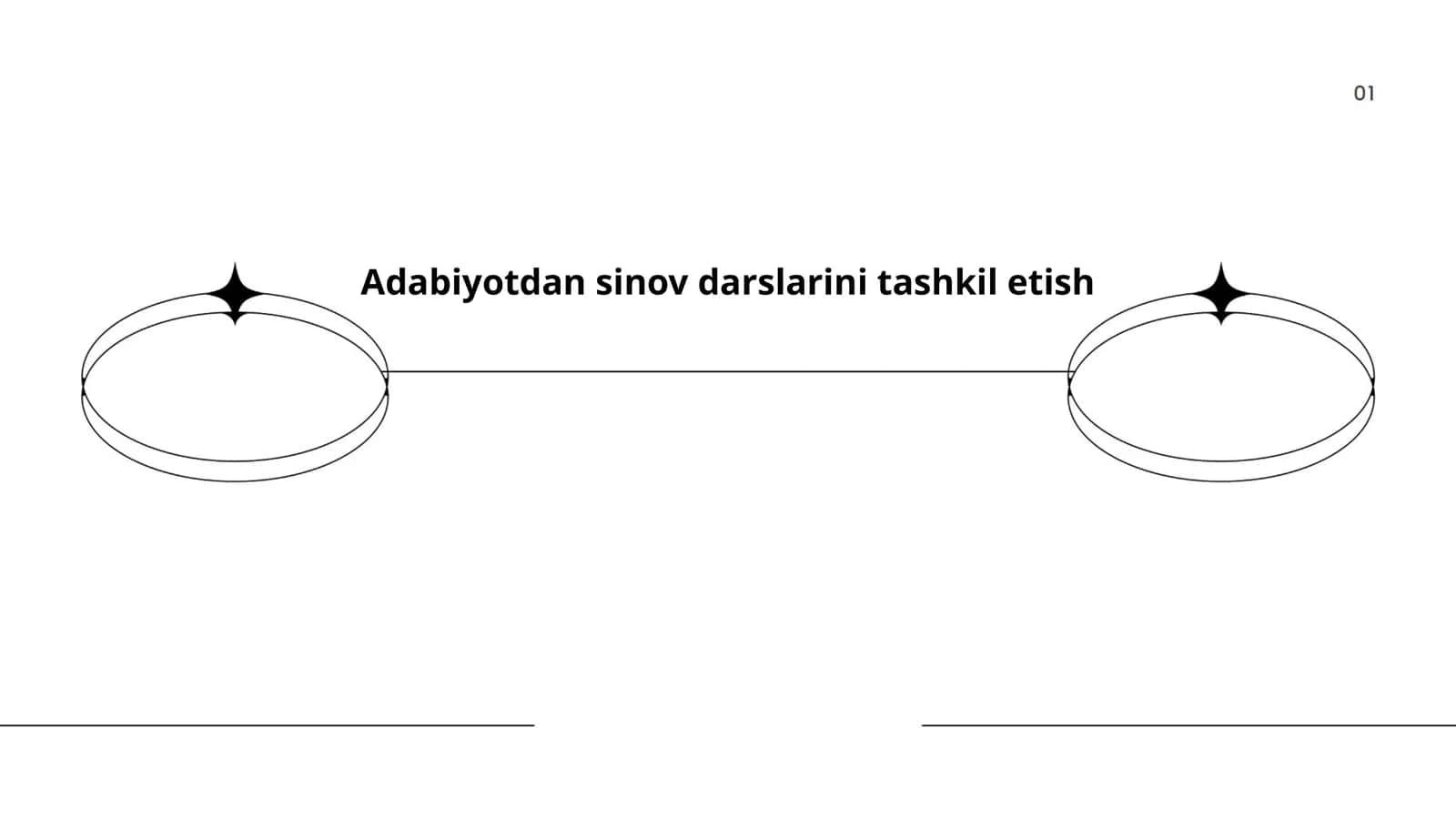 Adabiyotdan sinov darslarini tashkil etish 1