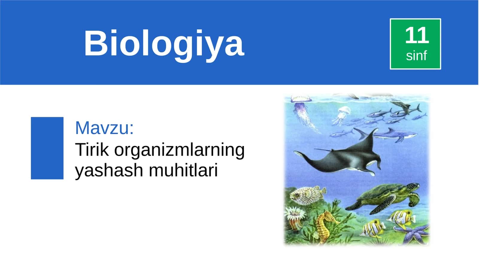 Tirik organizmlarning yashash muhitlari 1