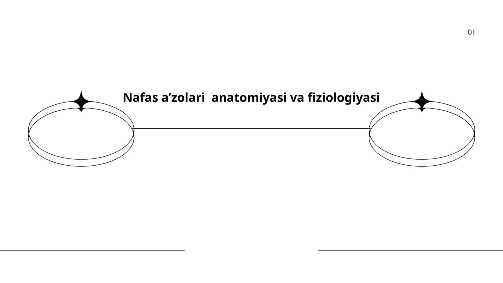 Nafas a’zolari anatomiyasi va fiziologiyasi 1