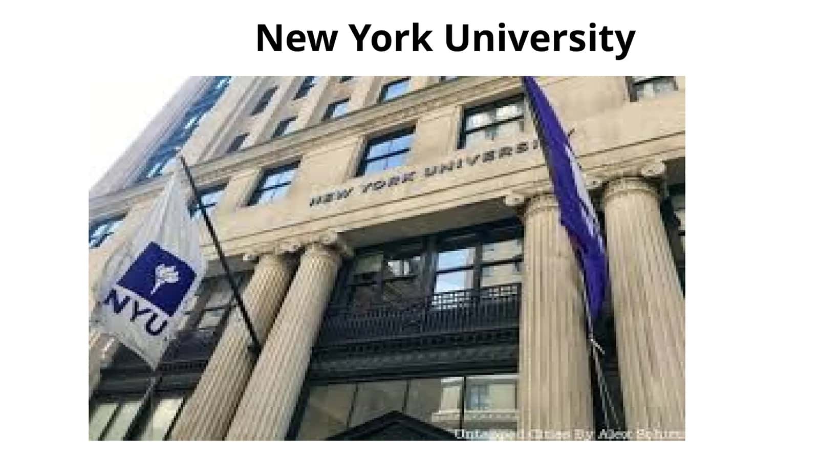 Nyu-York universiteti (NYU) 1