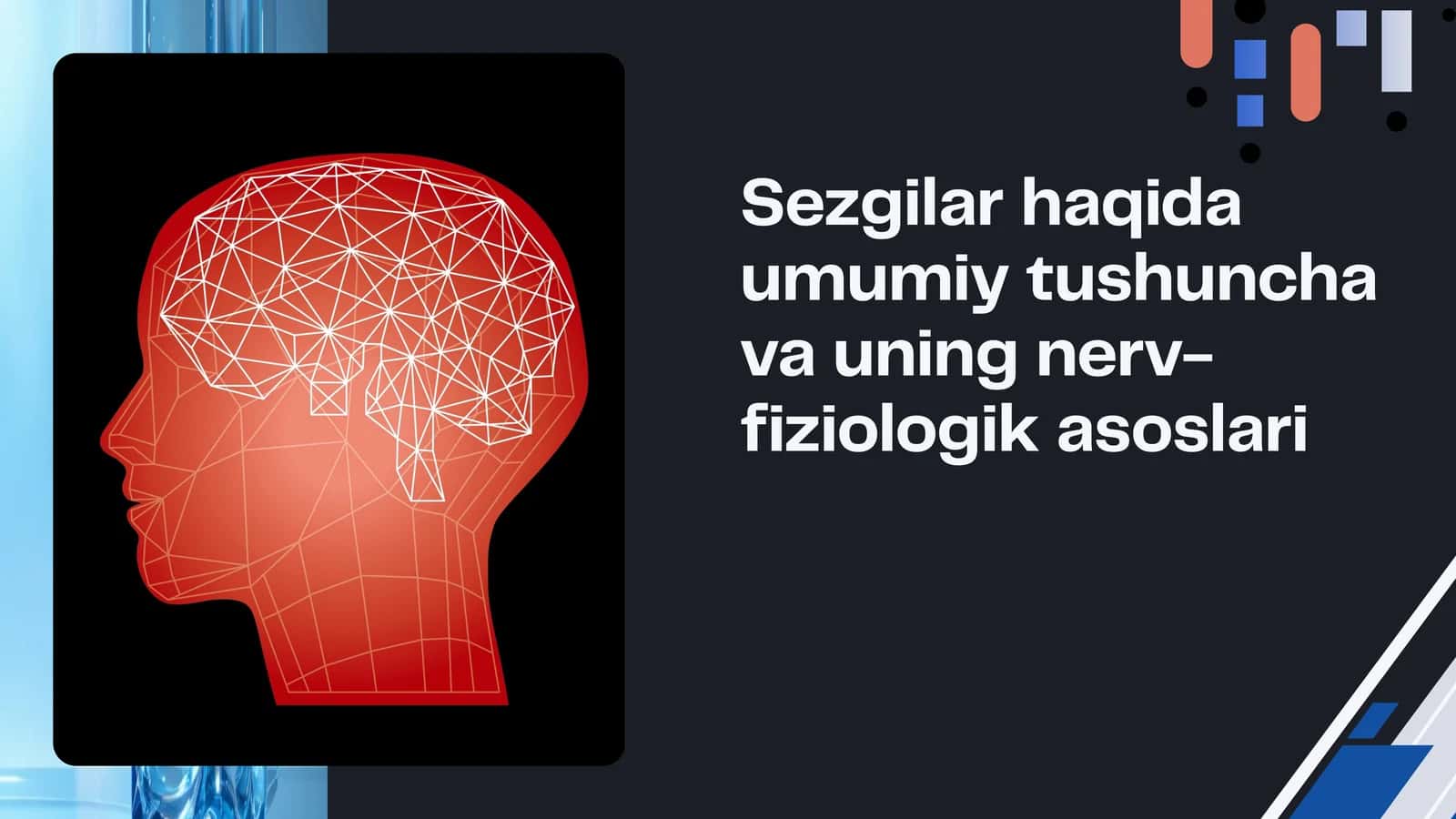 Sezgilar haqida umumiy tushuncha va uning nerv-fiziologik asoslari 1