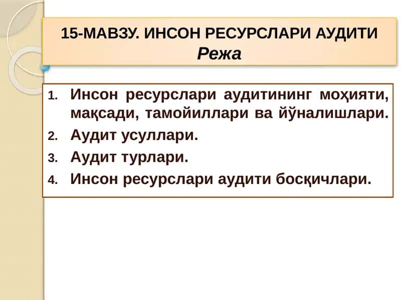 Инсон ресурслари аудити 1