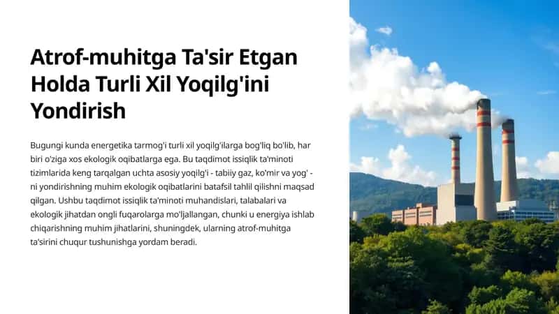 Atrof-muhitga Ta'sir Etgan Holda Turli Xil Yoqilg'ini Yondirish 1