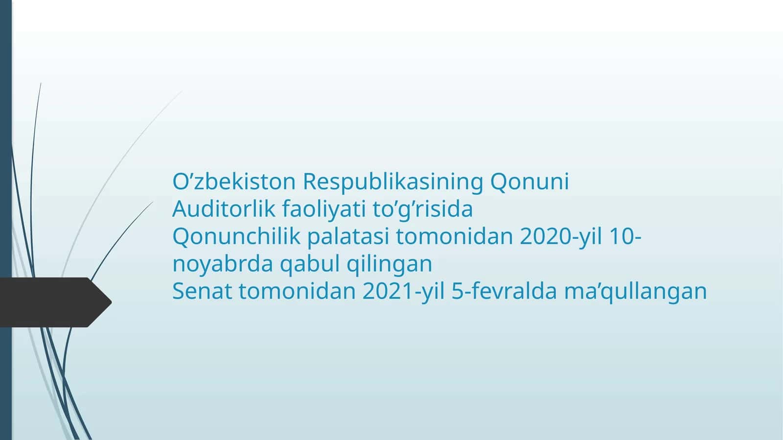 Auditorlik faoliyati to‘g‘risida Qonun 1