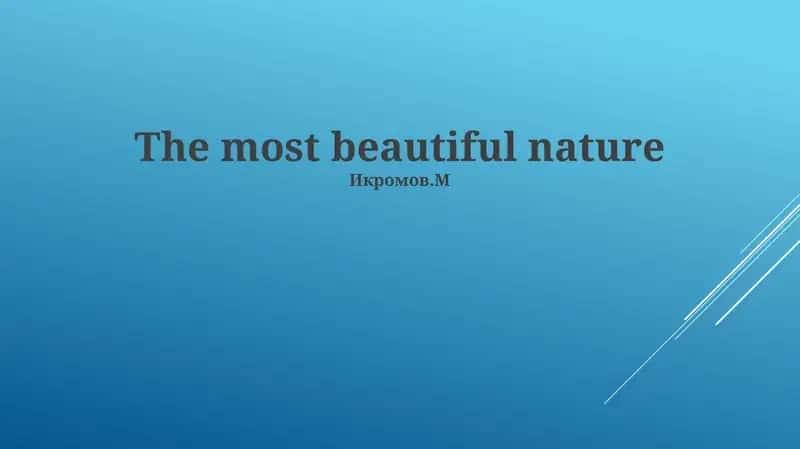 Nature's Palette 1
