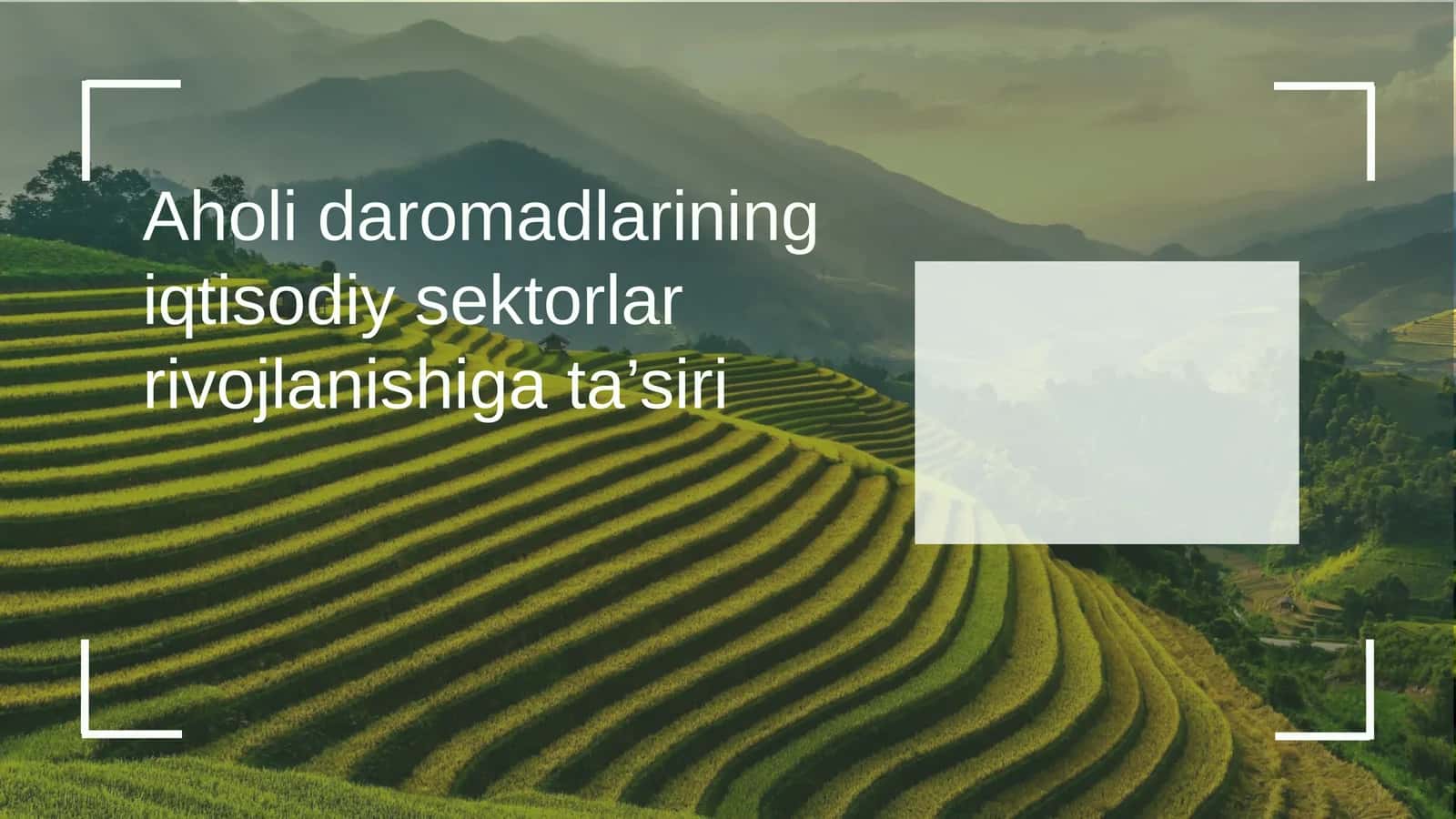 Aholi daromadlarining iqtisodiy sektorlar rivojlanishiga ta’siri 1
