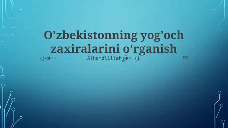 O'zbekistonning yog'och zaxiralarini o'rganish 1