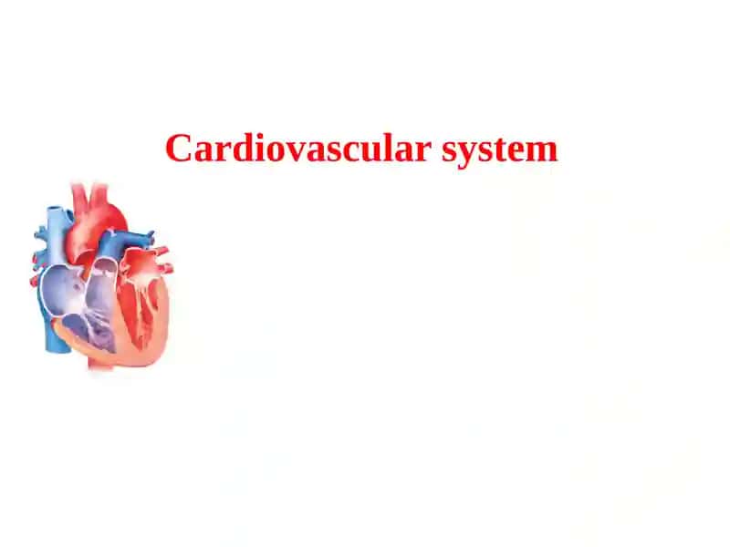 Cardiovascular system