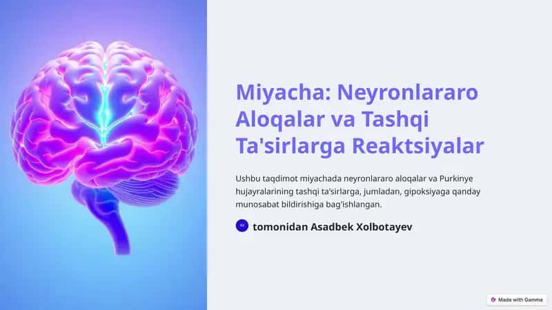 Miyacha: Neyronlararo Aloqalar va Tashqi Ta'sirlarga Reaktsiyalar 1