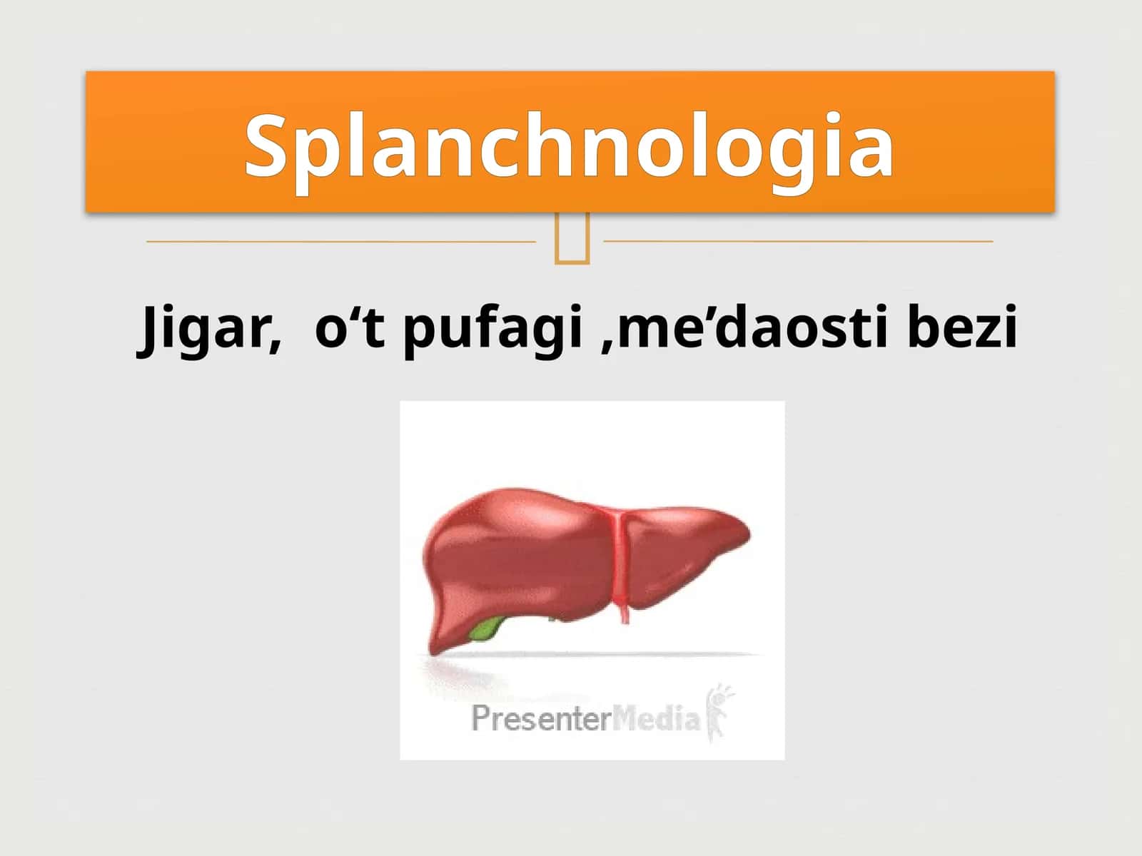 Jigar,o‘tpufagi,me’daostibezi 1
