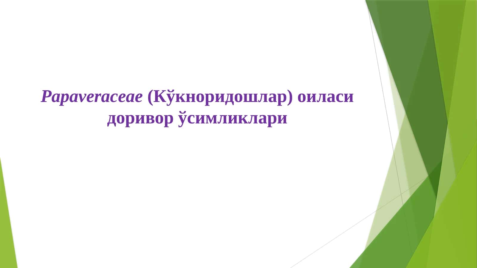 Papaveraceae(Кўкноридошлар) оиласи доривор ўсимликлари 1
