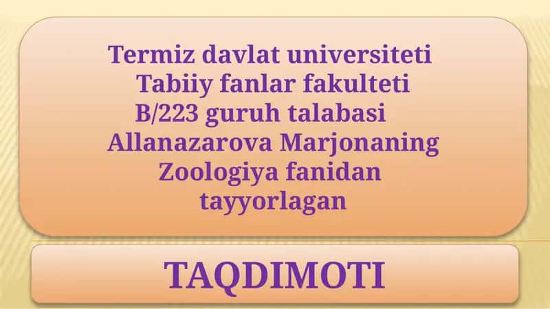 Nemirtinlarni qonaylanish va nafas olish sistemalari 1