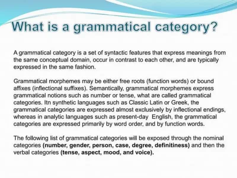 Grammatical Categories 1