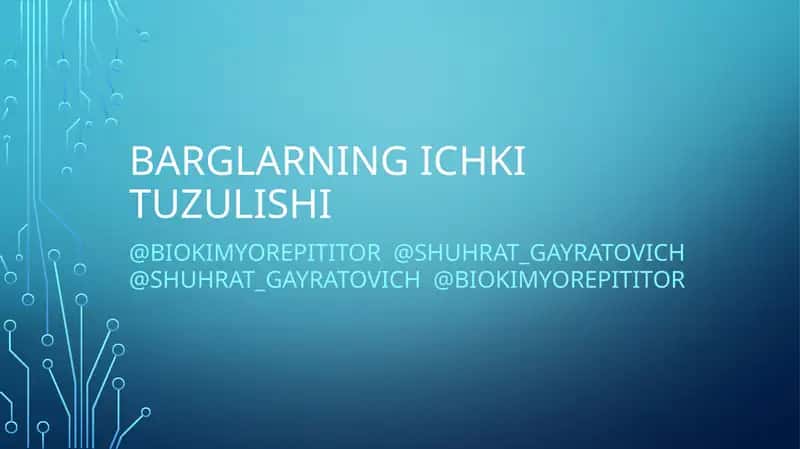 BARGLARNING ICHKI TUZULISHI 1