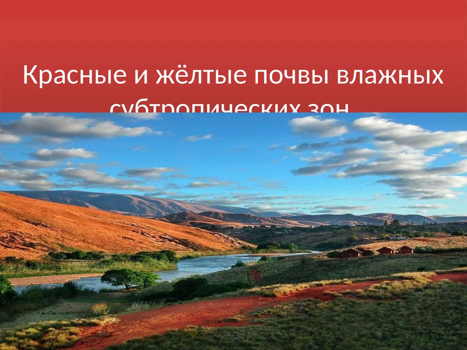 Почвы влажных субтропиков 1