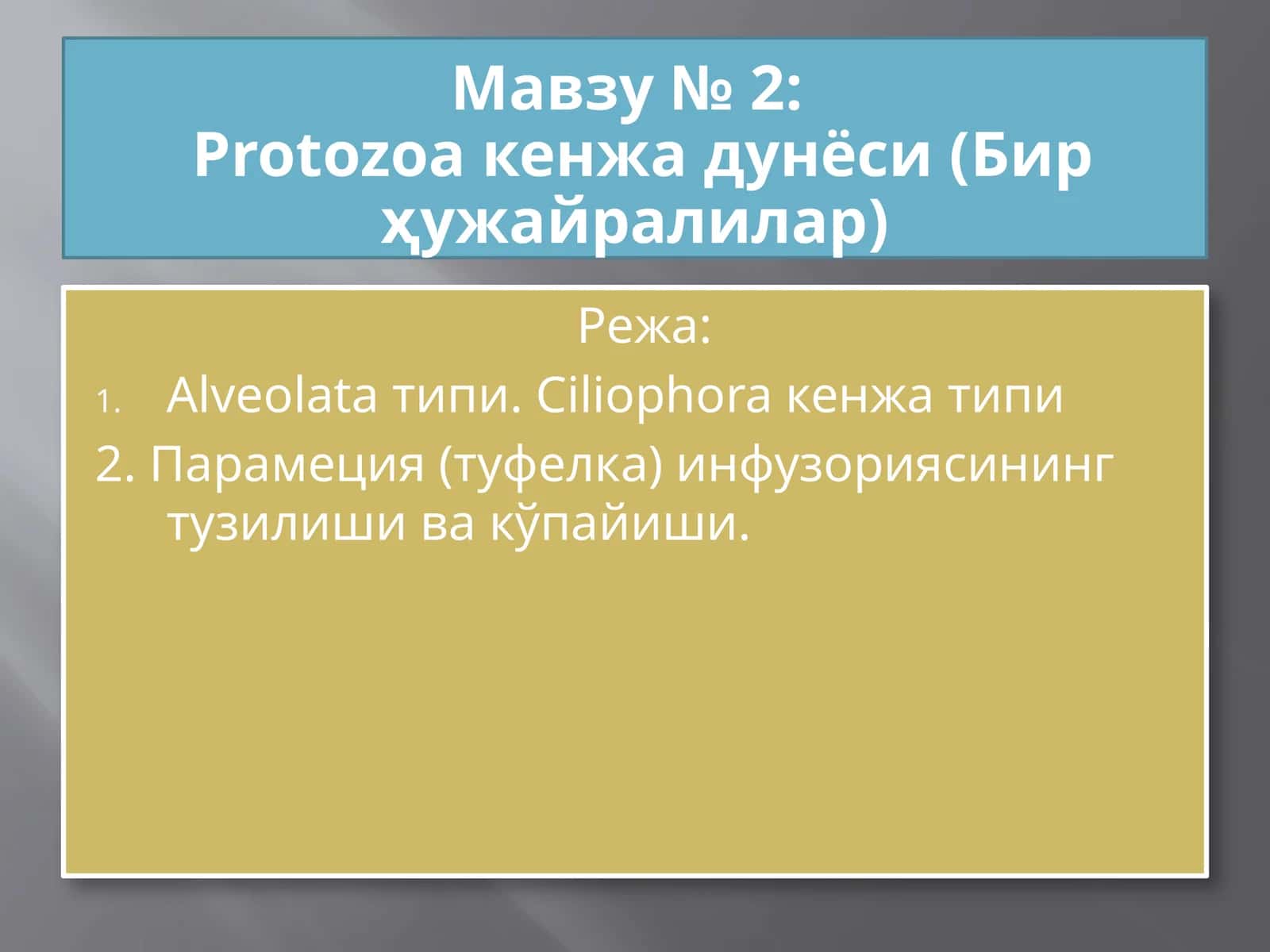 Protozoa кенжа дунёси (Бир ҳужайралилар) 1