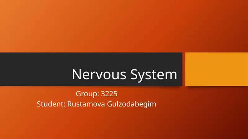 Nervous System 1
