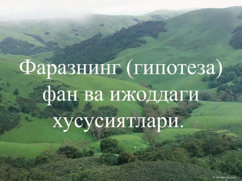 Фаразнинг (гипотеза) фан ва ижоддаги хусусиятлари 1