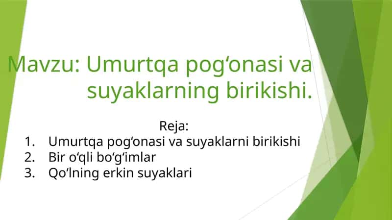 Umurtqa pog‘onasi va suyaklarning birikishi 1