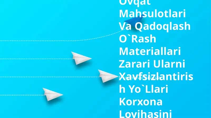Sintetik Oziq-Ovqat Mahsulotlari Va Qadoqlash O`Rash Materiallari Zarari Ularni Xavfsizlantirish Yo`Llari Korxona Loyihasi 1
