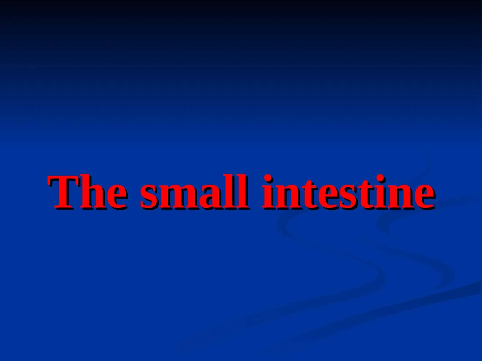 The small intestine 1