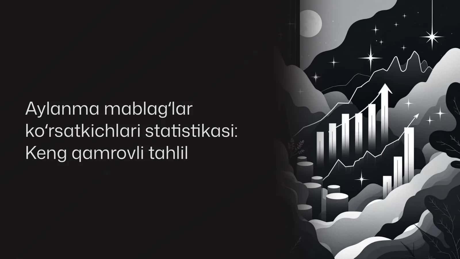 Aylanma mablagʻlar koʻrsatkichlari statistikasi: Keng qamrovli tahlil 1