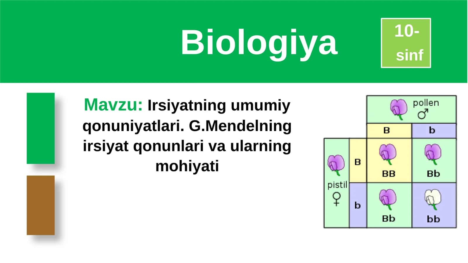Irsiyatning umumiy qonuniyatlari. G. Mendelning irsiyat qonunlari va ularning mohiyati 1