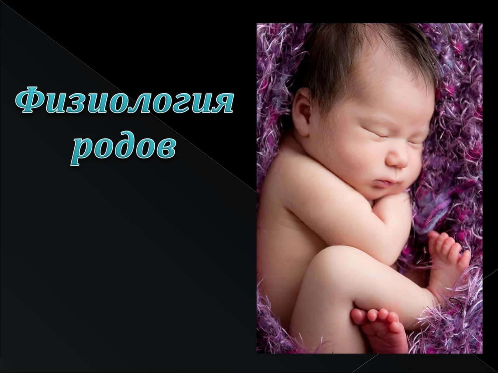 Базальная децидуальная оболочка 1