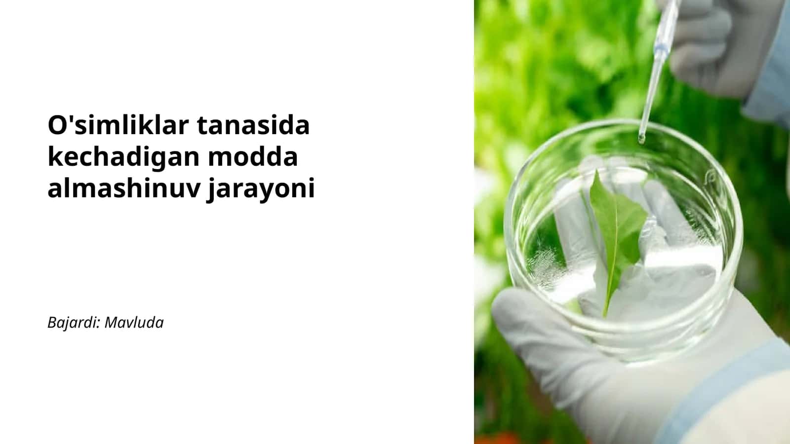 O'simliklar tanasida kechadigan modda almashinuv jarayoni 1