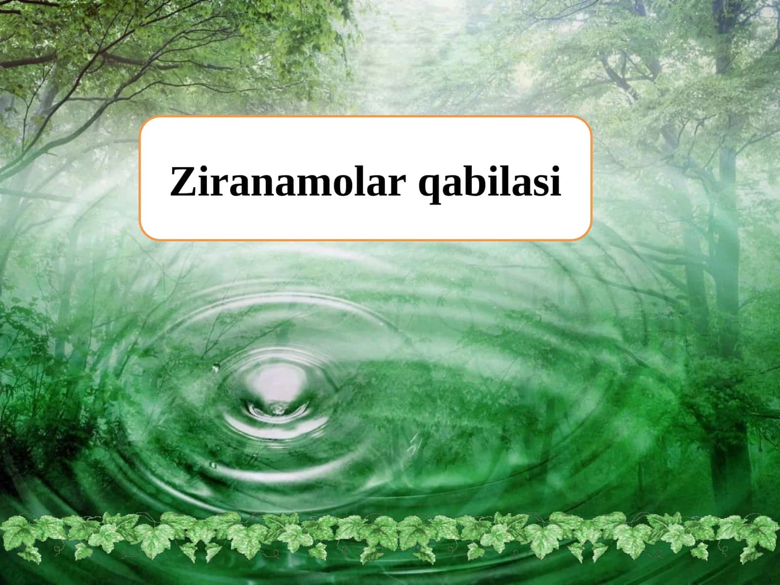 Ziranamolar qabilasi 1