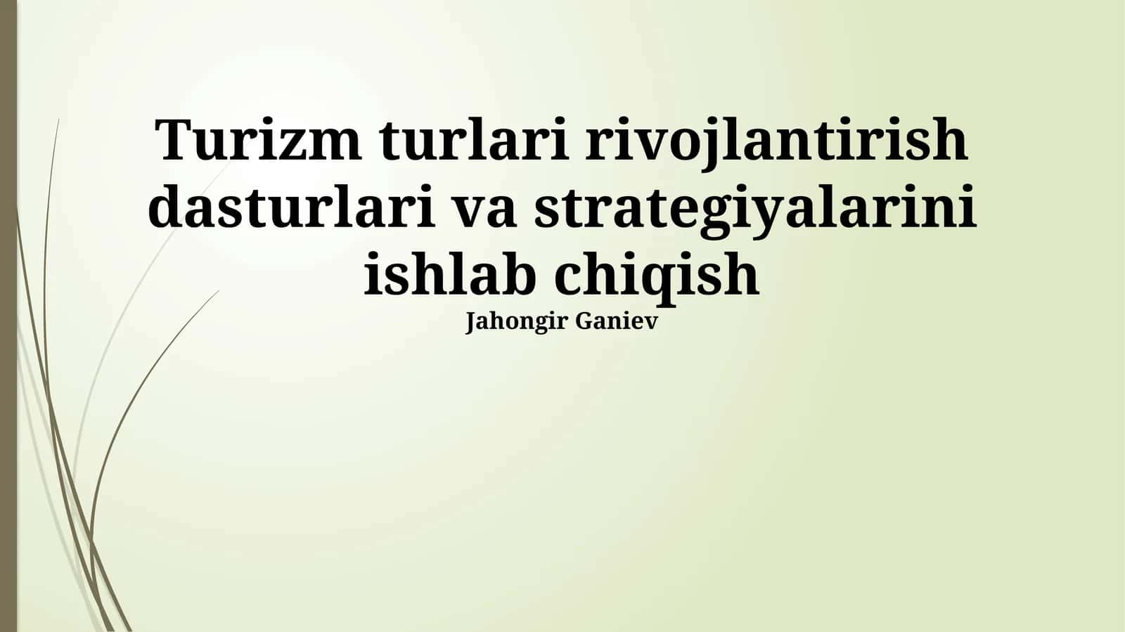 Turizm turlari rivojlantirish dasturlari va strategiyalari 1