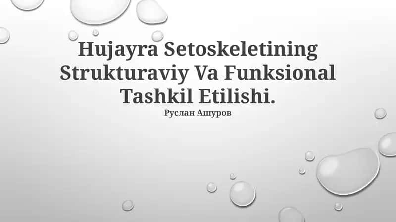 Hujayra Setoskeletining Strukturaviy Va Funksional Tashkil Etilishi 1