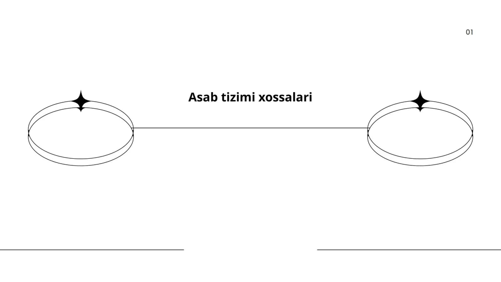 Asab tizimi xossalari 1