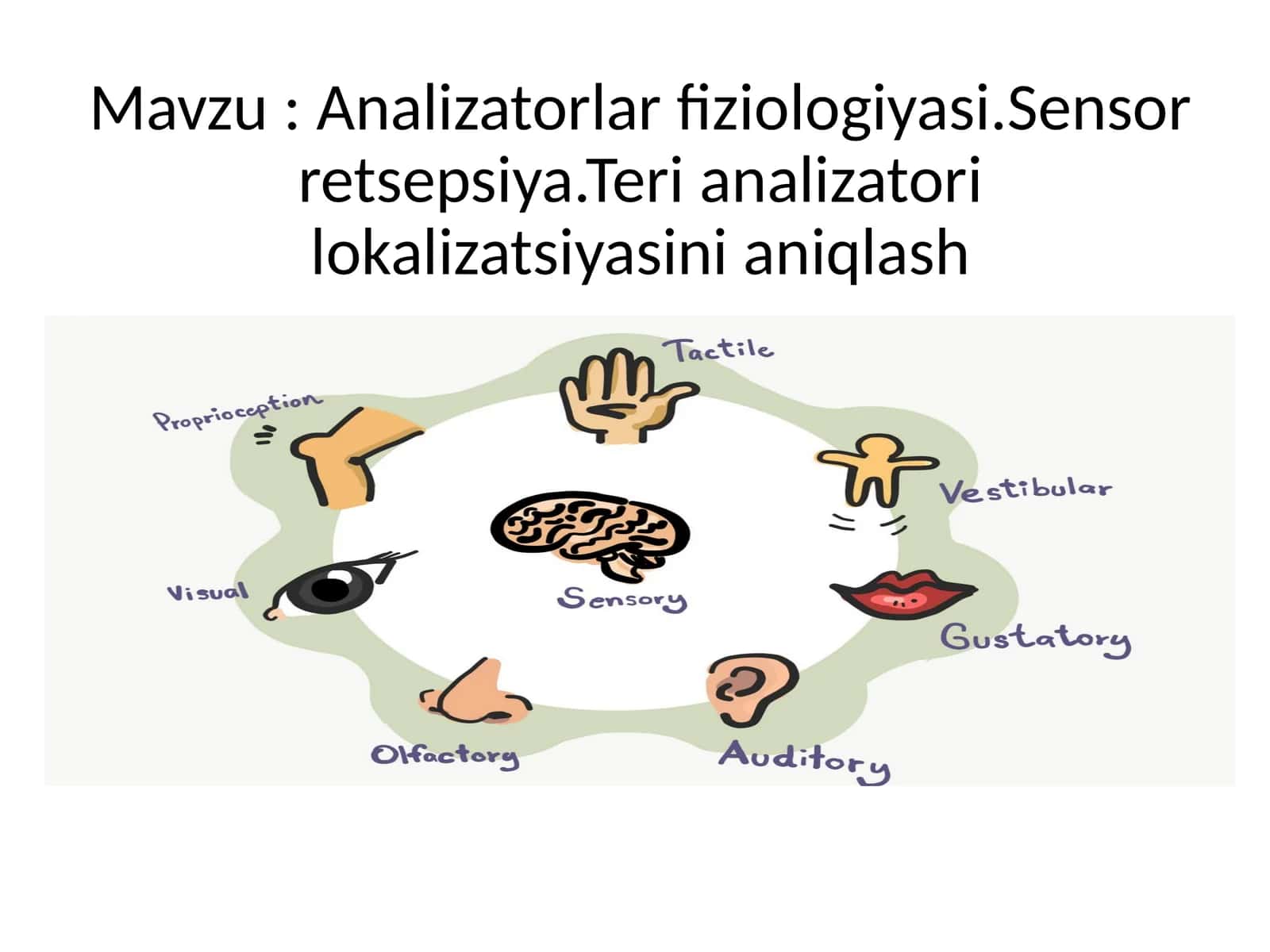 Analizatorlar fiziologiyasi. Sensor retsepsiya. Teri analizatorining lokalizatsiyasini aniqlash 1