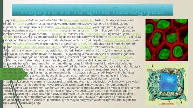 Hujayra va To`qima Fizologiyasi 1