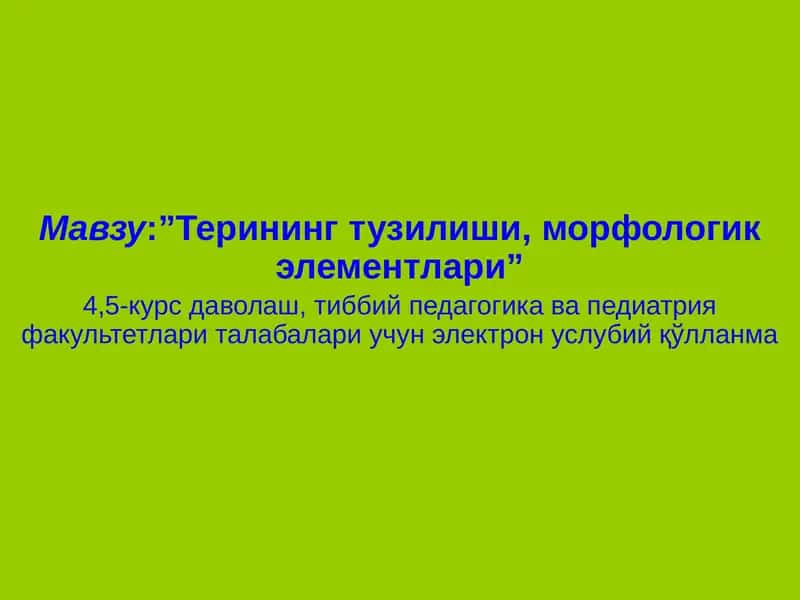 Терининг тузилиши, морфологик элементлари” 1