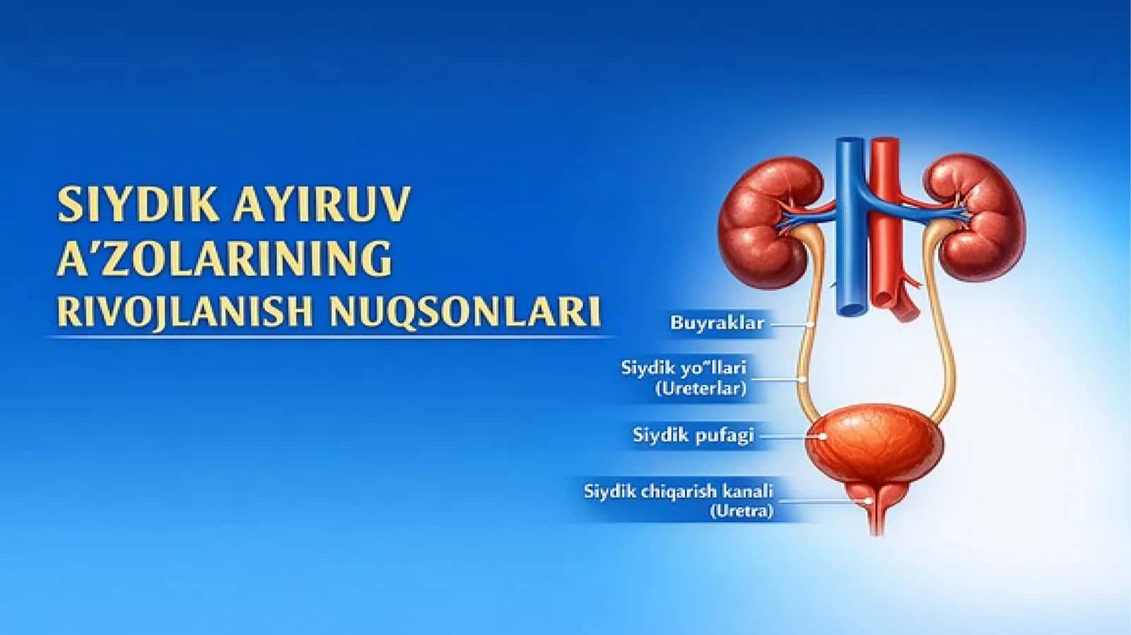 Siydik ayiruv azolarining rivojlanish nuqsonlari 1