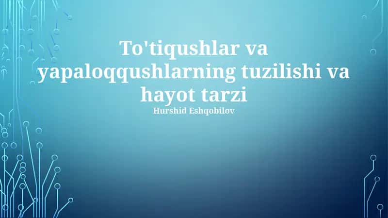 To'tiqushlar va yapaloqqushlarning tuzilishi va hayot tarzi 1