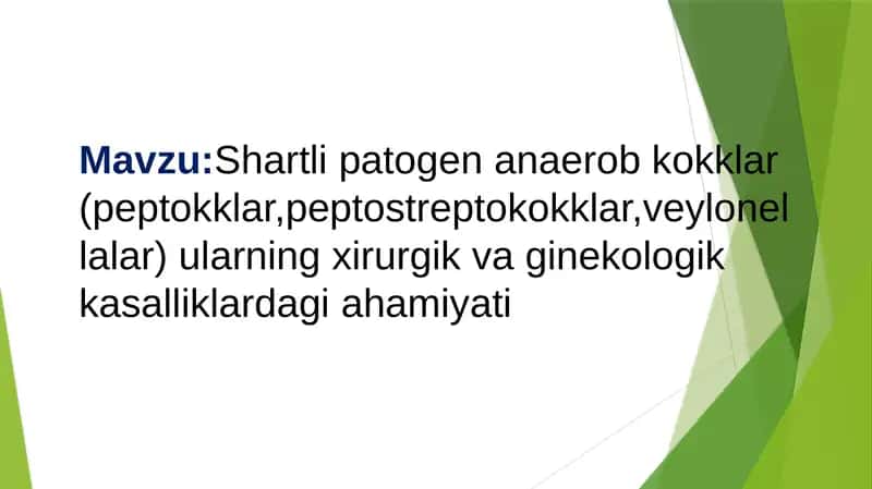 Shartlipatogen anaerob kokklar (peptokklar, peptostreptokokklar, veylonellalar) 1