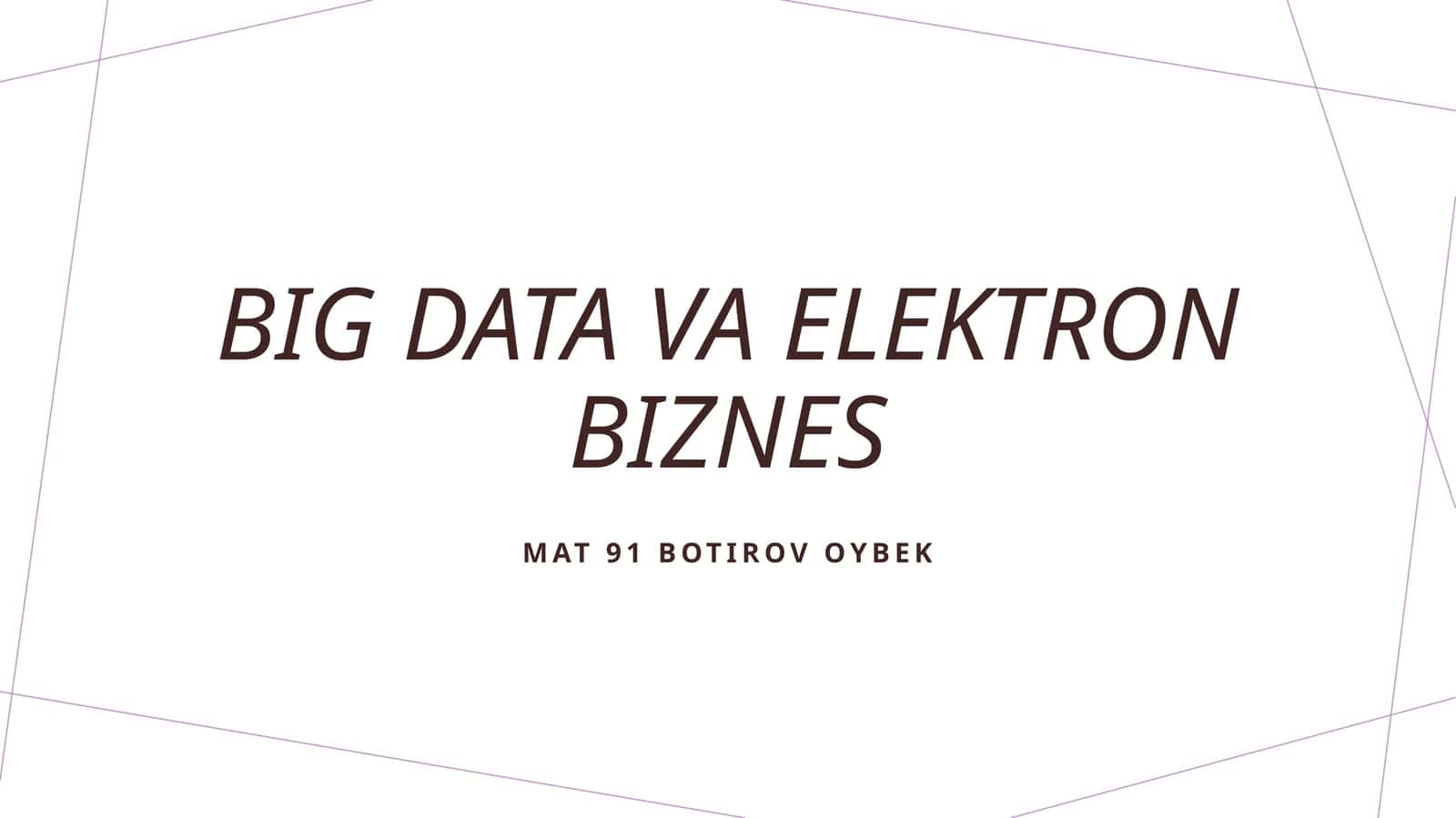 Big Data va elektron biznes 1
