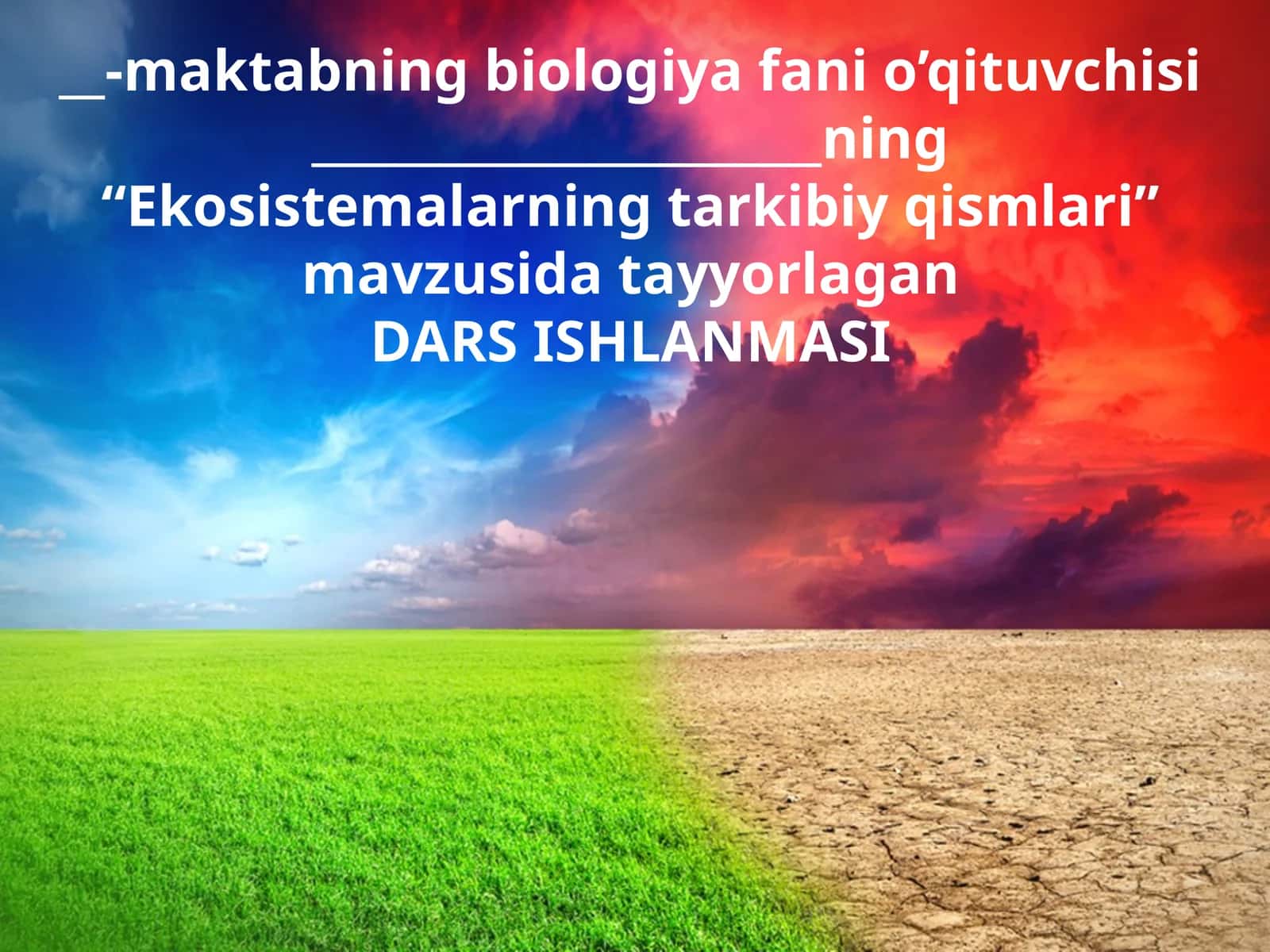 11-sinf Biologiya dars ishlanma. Ekosistemalarning tarkibiy qismlari 1