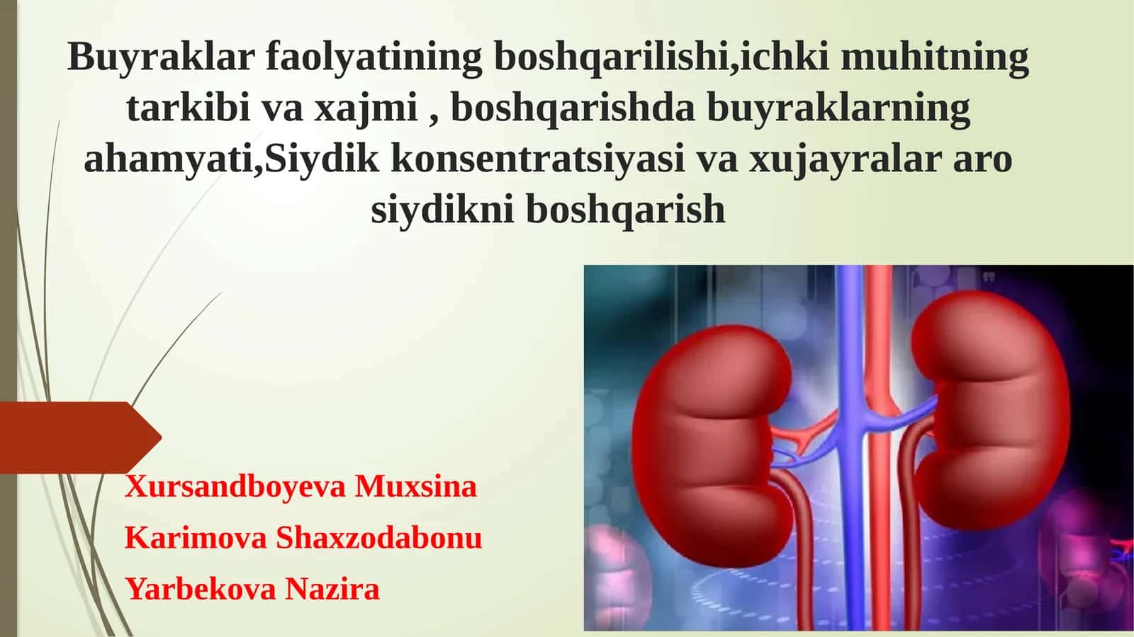 Buyrak organi haqida . Buyrak faoliyatini haqida toʻliq malimotlar. 1