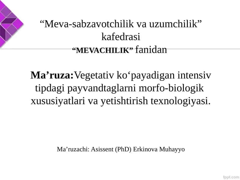 Ma’ruga: Vegetativ ko‘payadigan intensiv tipdagi payvand taglarini morfo-biologik xususiyatlari va yetishtirish texnologiyasi 1