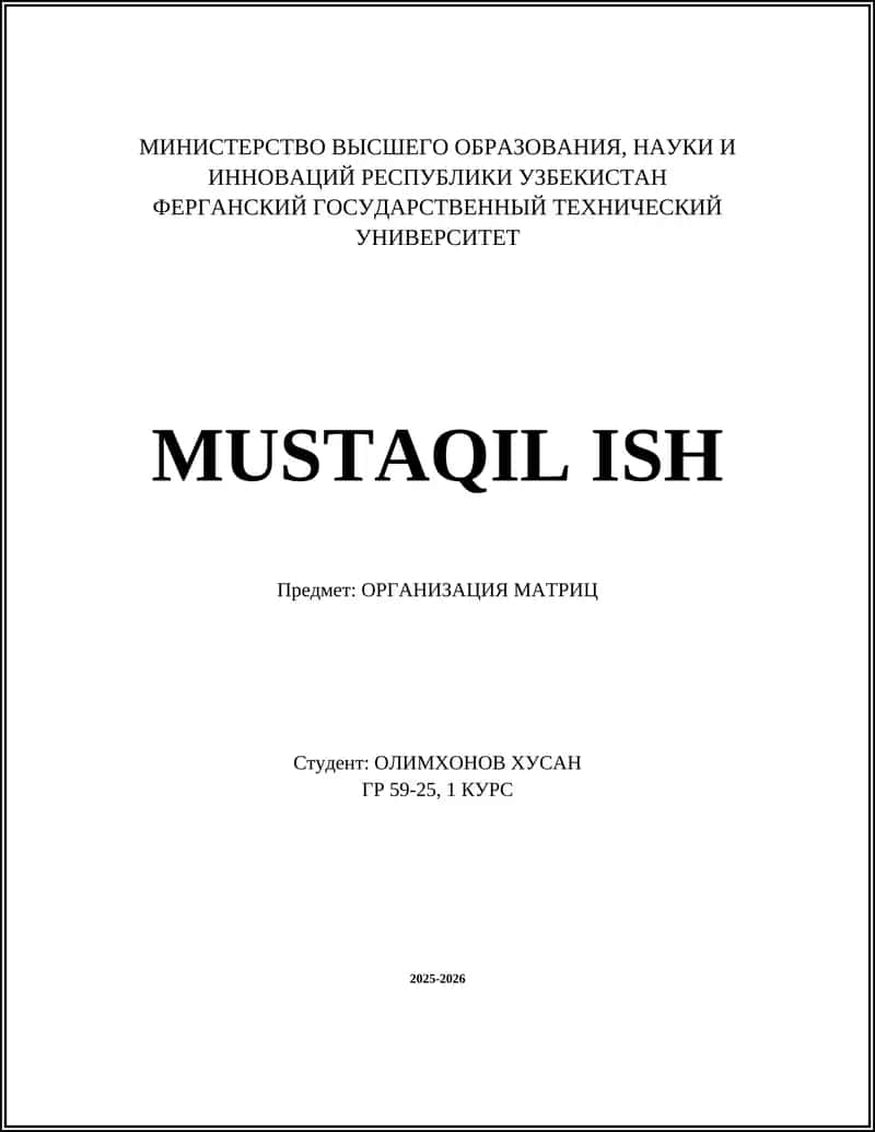 ОРГАНИЗАЦИЯ МАТРИЦ 1