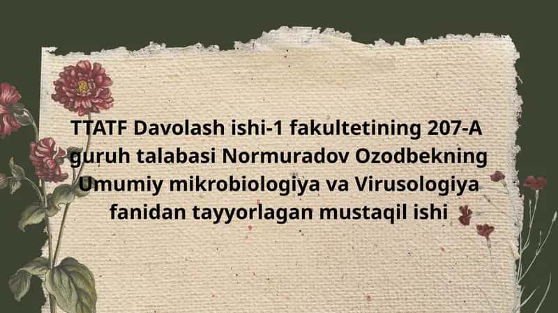 TTATF Davolash ishi-1 1