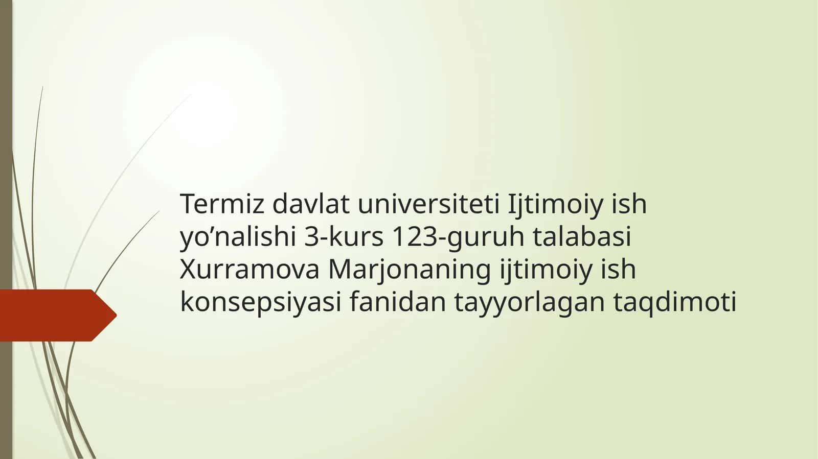 Xurramova Marjonaning ijtimoiy ish konsepsiyasi fanidan tayyorlagan taqdimoti 1