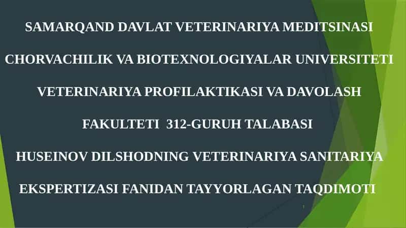 Tuzlangan sabzovotlarni sanitariya jixatdan tekshirish 1