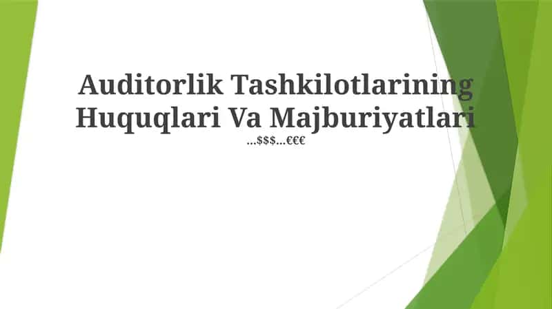 Auditorlik Tashkilotlarining Huquqlari Va Majburiyatlari 1