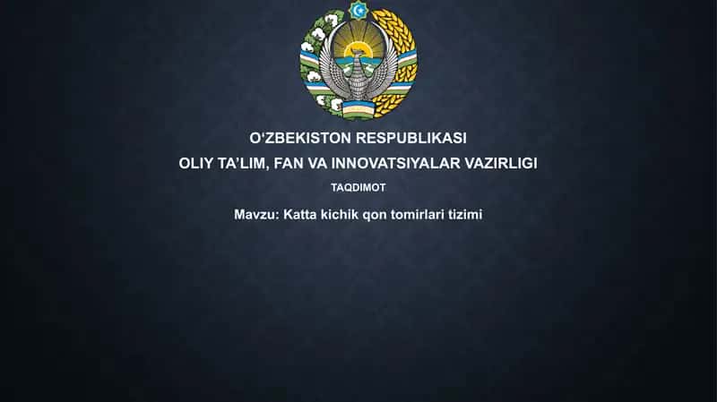Kattakichik qontomirlar itizimi 1